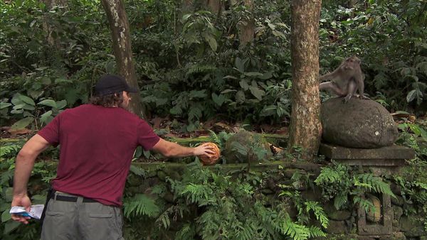 The Amazing Race - I Love Monkeys!