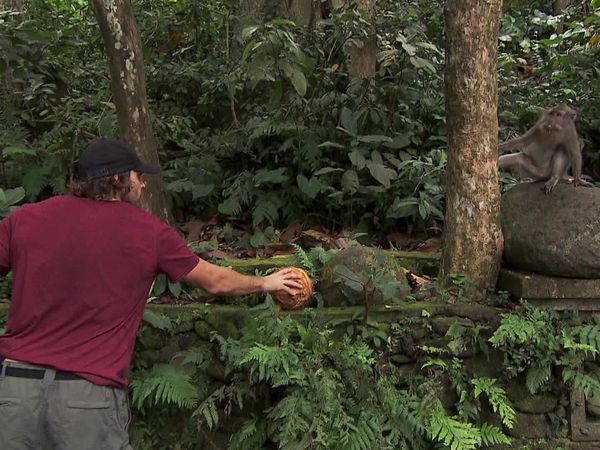 The Amazing Race - I Love Monkeys!