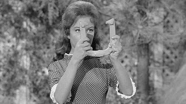 Petticoat Junction - The Ringer