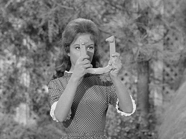 Petticoat Junction - The Ringer