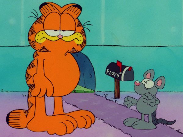 Garfield & Friends - Attention-Getting Garfield/Swine Trek/Dog Food
