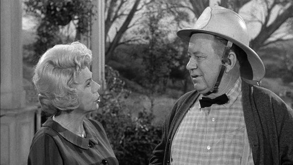 Petticoat Junction - Kate Bradley, Girl Volunteer