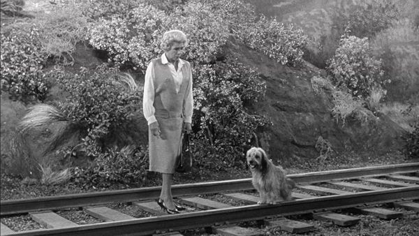 Petticoat Junction - Betty Jo's Dog