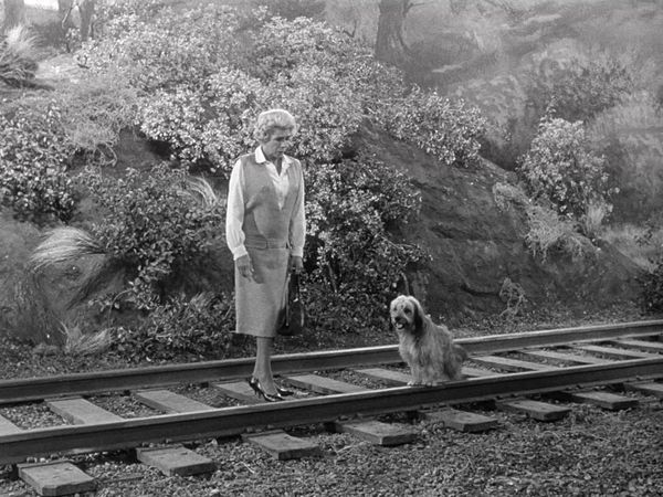 Petticoat Junction - Betty Jo's Dog
