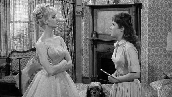 Petticoat Junction - A Tale Of Two Dogs
