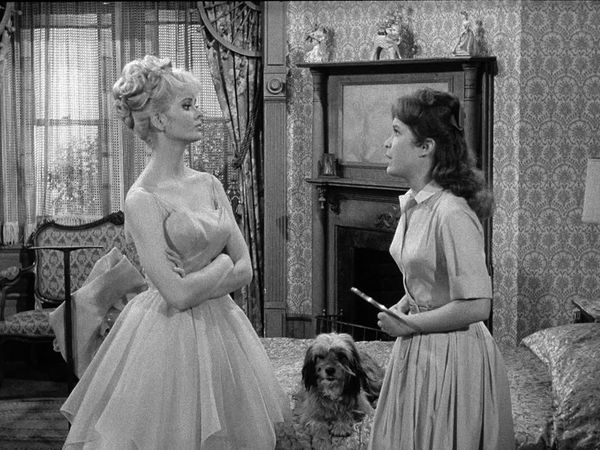 Petticoat Junction - A Tale Of Two Dogs