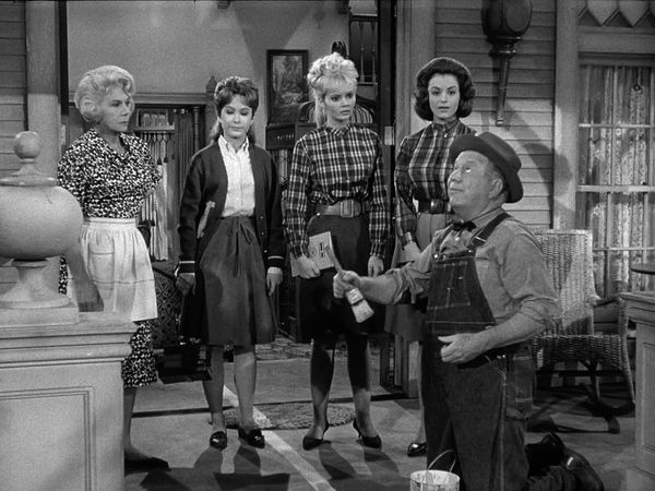Petticoat Junction - A Border Line Story