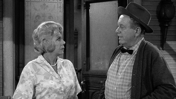 Petticoat Junction - The Hair-brained Scheme