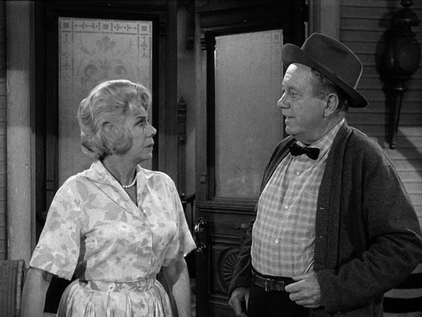 Petticoat Junction - The Hair-brained Scheme
