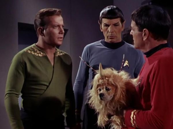 Star Trek: The Original Series - The Enemy Within
