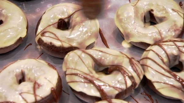Donut Showdown CA - Jungle
