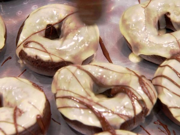 Donut Showdown CA - Jungle