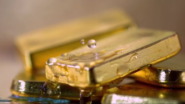 History Erased CA - Gold
