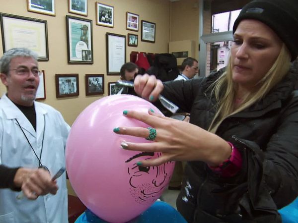 The Amazing Race - Bull Down