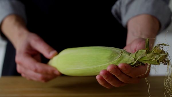 America's Test Kitchen Presents - Farm Fresh