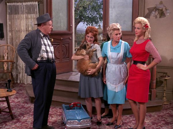 Petticoat Junction - Dog Turns Playboy