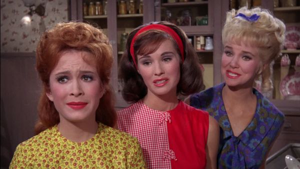 Petticoat Junction - Doctor In The House