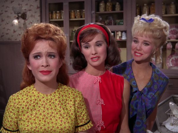 Petticoat Junction - Doctor In The House