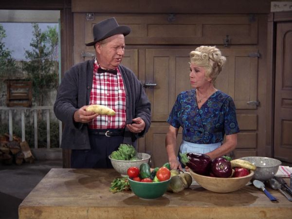 Petticoat Junction - Jury At The Shady Rest