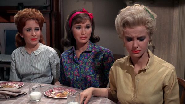 Petticoat Junction - Kate Sells The Hotel