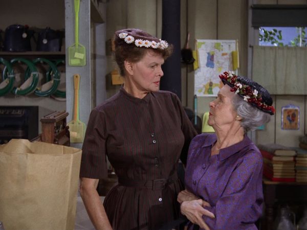 Petticoat Junction - County Fair