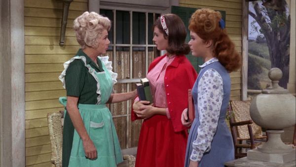 Petticoat Junction - Invisible Mr. Dobble
