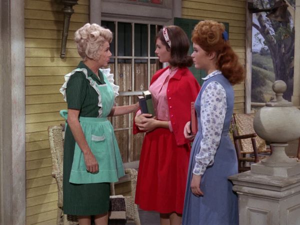 Petticoat Junction - Invisible Mr. Dobble