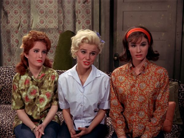 Petticoat Junction - Every Bachelor Should Have A Family