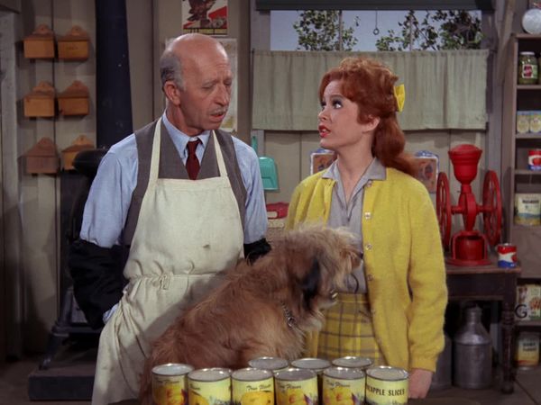 Petticoat Junction - Betty Jo's Bike