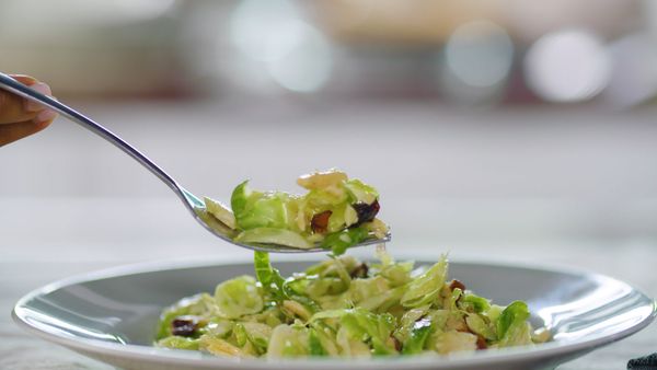 America's Test Kitchen Presents - Hearty Holiday
