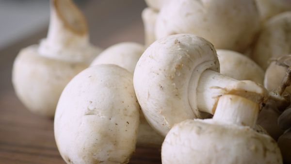America's Test Kitchen Presents - All About The Fungi
