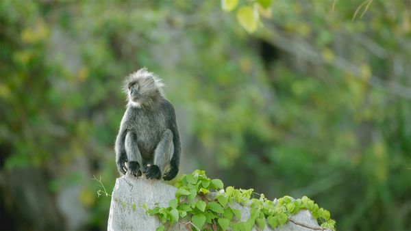 Les mystères du Mékong - Vietnam : fin du voyage