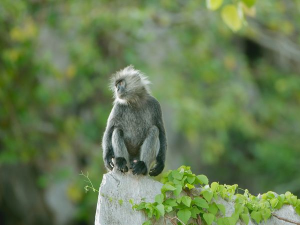 Les mystères du Mékong - Vietnam : fin du voyage