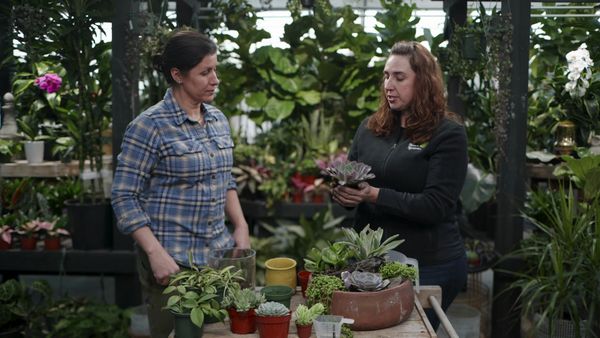 Ask This Old House - E31 | Succulents, Water Filter | Ask This Old House