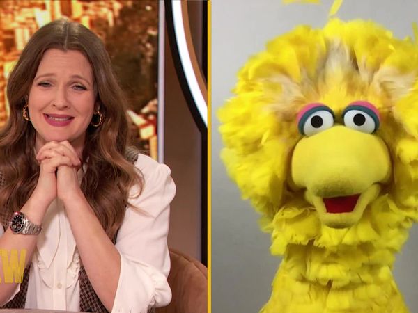 The Drew Barrymore Show - Best Of Week with Hugh Grant, Marie Kondo, Drew Gooder-Surprise