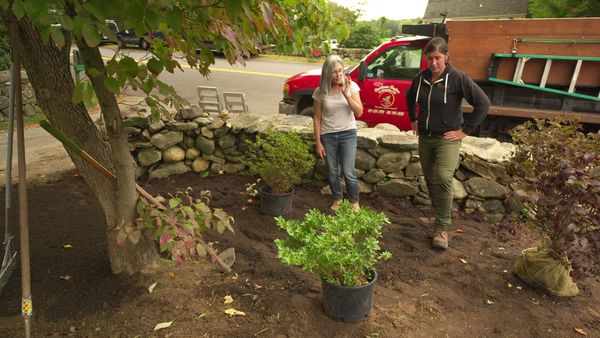 This Old House - Concord Country Cape | Planting for the Future