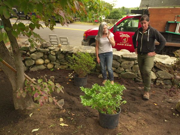 This Old House - Concord Country Cape | Planting for the Future