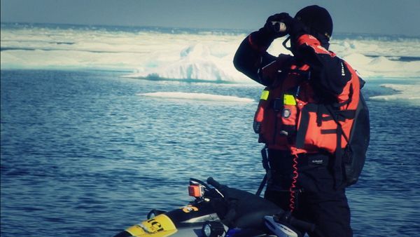 Dangerous Waters - Polar Bears