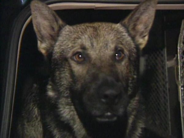 To Serve and Protect - Episode 3