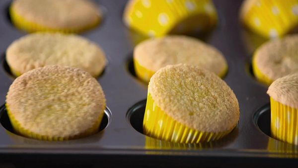 Sugar Showdown CA - Pet Shop Cupcakes