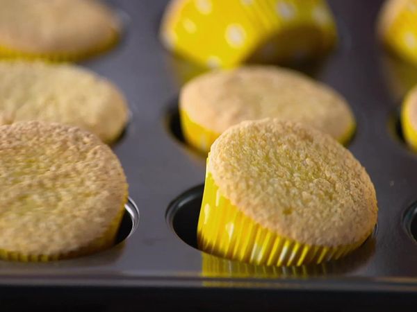 Sugar Showdown CA - Pet Shop Cupcakes