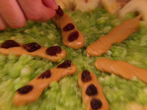 Sugar Showdown CA - Playground Pies