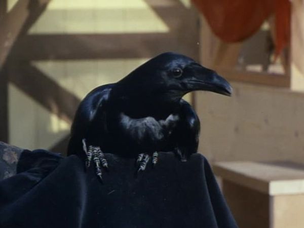 The Wild Wild West - The Night Of The Winged Terror (Part 1)
