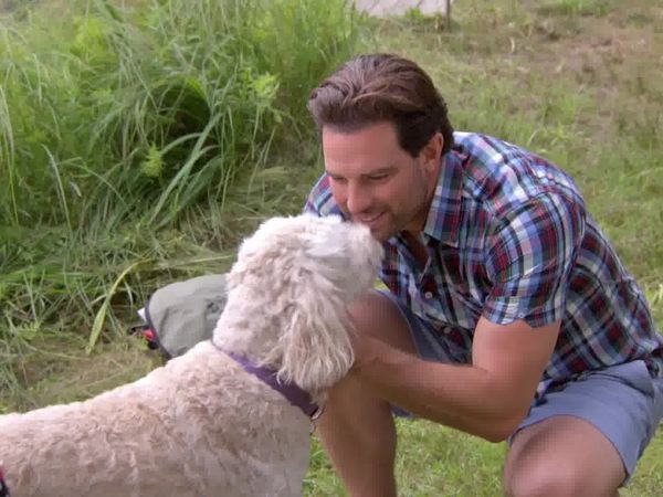 Scott's Vacation House Rules CA - Pet Friendly Paradise / Mark and Lynne