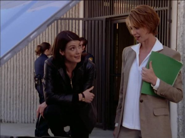 Diagnosis Murder - Blood Ties