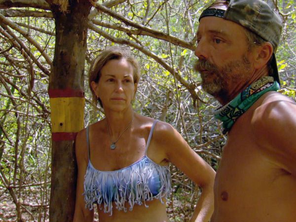 Survivor - Wrinkle in the Plan
