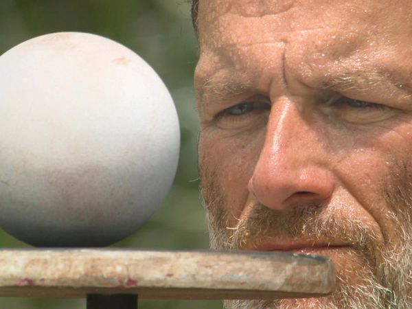 Survivor - Play to Win