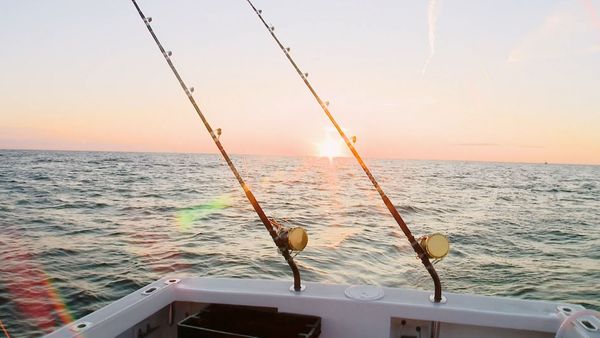 Wicked Tuna - Sweet Smell of Revenge