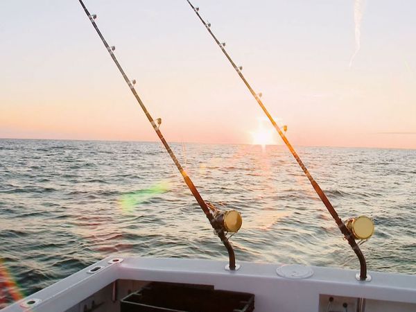 Wicked Tuna - Sweet Smell of Revenge