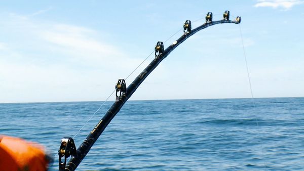 Wicked Tuna - Go Fish!